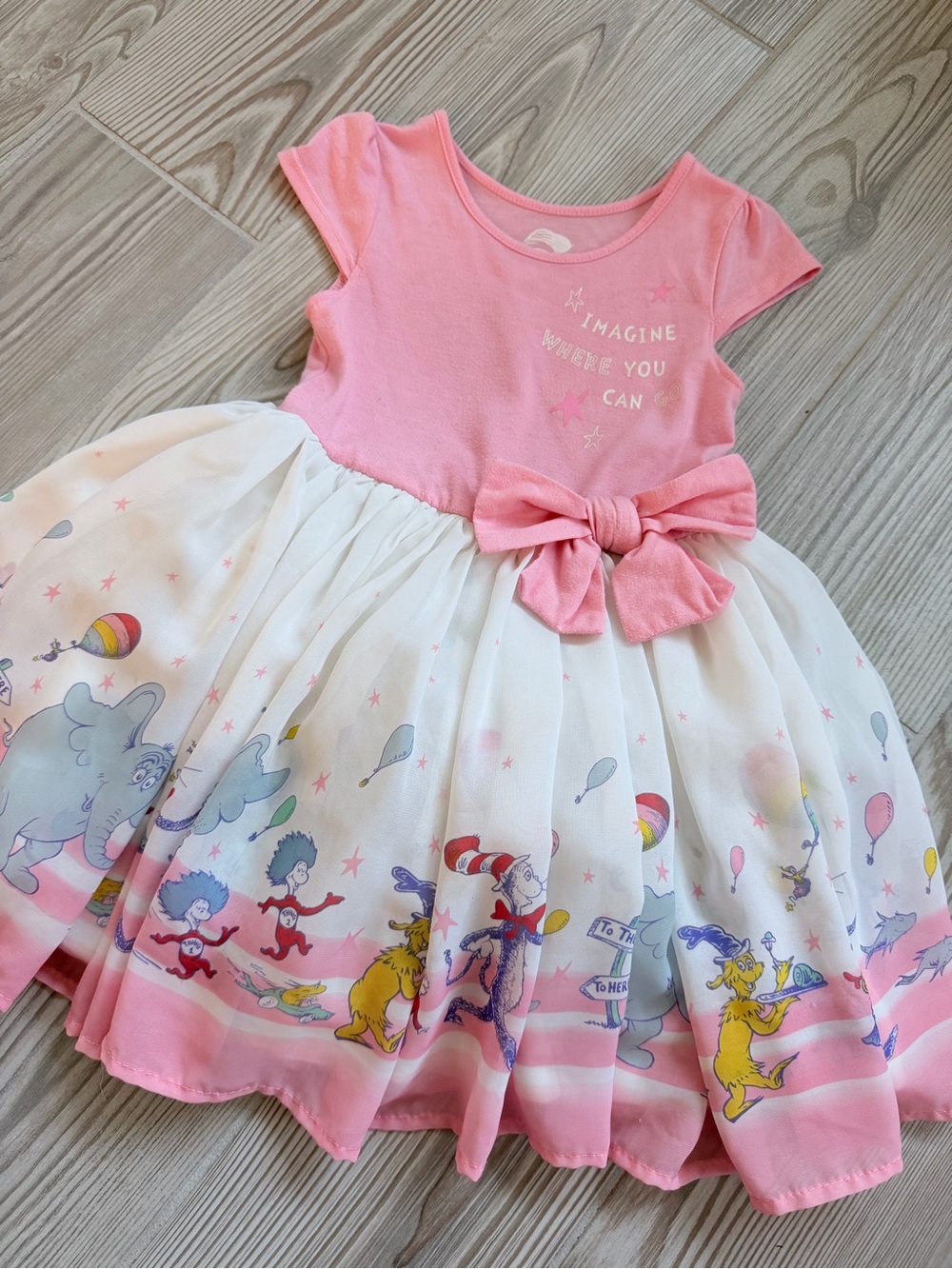 Dr. Seuss Girls Cat in the Hat Fit & Flare Party Dress Pink 3T Bow Tulle